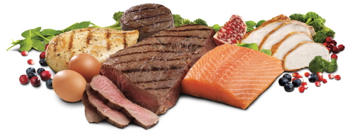 Carne e pesce, la base della dieta consigliata dal Dott. Mozzi