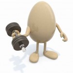 egg does weight training
