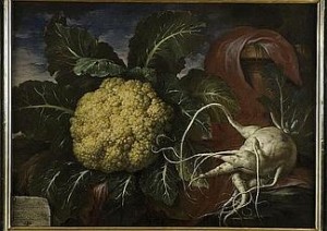 cavolfiore dipinto da Bartolomeo Bimbi